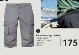 Selgros Bermude cargo bărbați Ofertă
