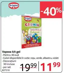 Selgros Vopsea kit gel Ofertă