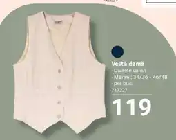 Selgros Vestă damă Ofertă