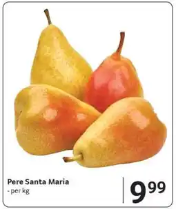 Selgros Pere Santa Maria Ofertă