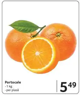 Selgros Portocale Ofertă
