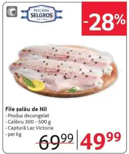 Selgros File Șalău de Nil Ofertă