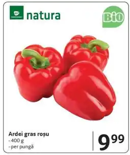 Selgros Ardei gras roșu Ofertă