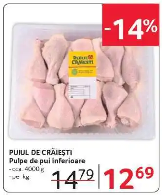 Selgros PUIUL DE CRĂIEȘTI Ofertă