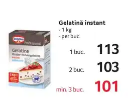 Selgros Gelatină instant Ofertă