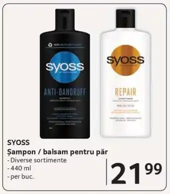 Selgros SYOSS Ofertă