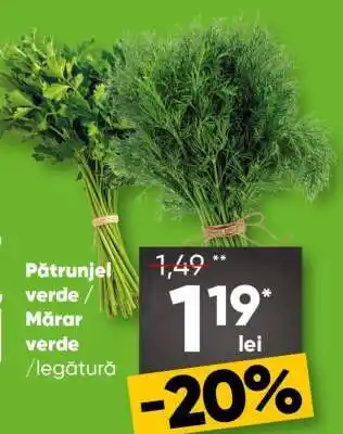 Pătrunjel verde / Mărar verde