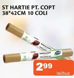 Unicarm St hartie pt. copt 38*42cm 10 coli Ofertă