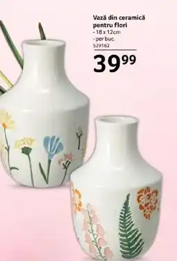 Selgros Vază din ceramică pentru flori Ofertă