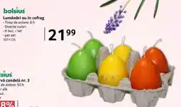 Selgros Lumânări ou în cofrag Ofertă