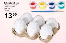 Selgros Set picturǎ 6 ouǎ Ofertă