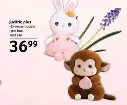 Selgros Jucărie plus Ofertă