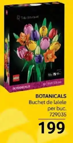 Selgros LEGO Botanicals Ofertă