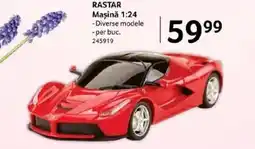 Selgros RASTAR Maşină 1:24 Ofertă