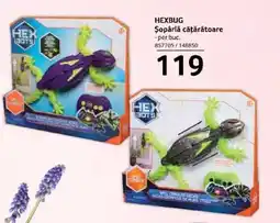 Selgros HEXBUG Şopârlă cățărătoare Ofertă
