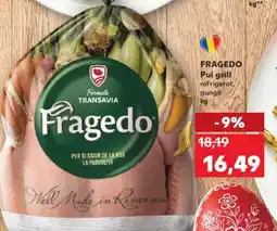 Kaufland FRAGEDO Pui grill refrigerat, punga, kg Ofertă