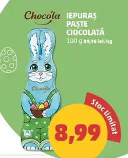 Penny Iepuraș Paște Ciocolată Ofertă