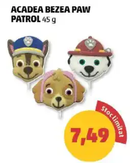 Penny ACADEA BEZEA PAW PATROL Ofertă