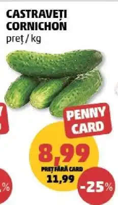 Penny Castraveţi cornichon Ofertă