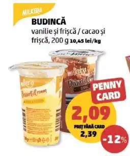 Penny BUDINCĂ vanilie și frișcă / cacao și frișcă, 200 g Ofertă