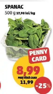 Penny Spanac Ofertă