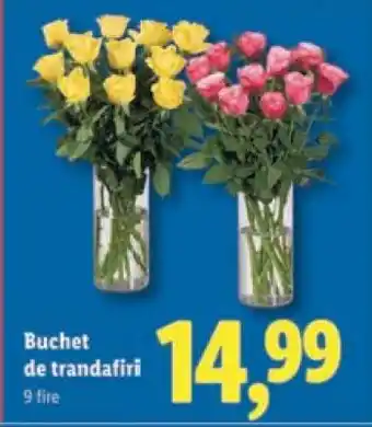 Lidl Buchet de trandafiri Ofertă