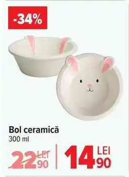 Carrefour Bol ceramică Ofertă