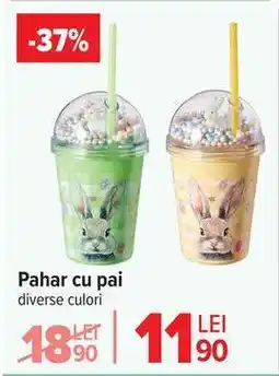 Carrefour Pahar cu pai Ofertă