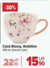 Carrefour Cană Blossy, Ambition Ofertă