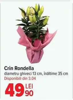 Carrefour Crin Rondella Ofertă