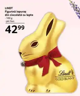 Selgros LINDT Ofertă