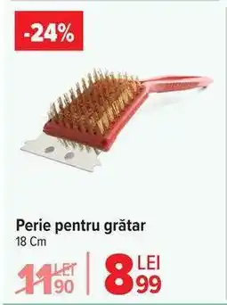 Carrefour Perie pentru grătar Ofertă