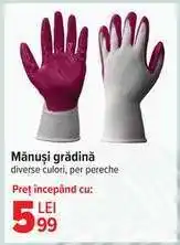 Carrefour Mănuși grădină Ofertă