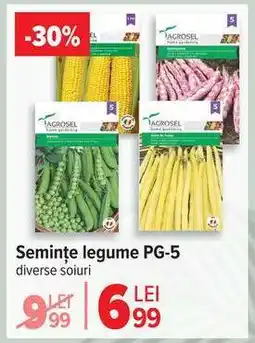 Carrefour Semințe legume PG-5 Ofertă