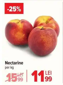 Carrefour Nectarine Ofertă