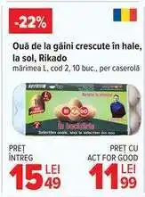 Carrefour Ouă de la găini crescute în hale, la sol, Rikado Ofertă