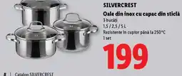 Lidl SILVERCREST Oale din inox cu capac din sticlă Ofertă