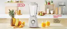 Carrefour Blender MOULINEX LM430A10 Ofertă
