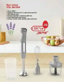 Carrefour Mixer vertical TEFAL HB673B30 Ofertă