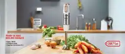 Carrefour Blender de mână MOULINEX DD655A10 Ofertă