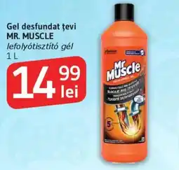 Supeco Gel desfundat ţevi MR. MUSCLE Ofertă