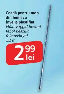 Supeco Coadă pentru mop din lemn cu înveliş plastifiat Ofertă