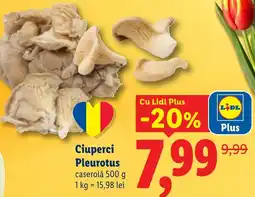 Lidl Ciuperci Pleurotus Ofertă