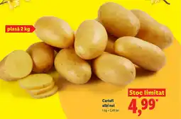 Lidl Cartofi albi noi Ofertă