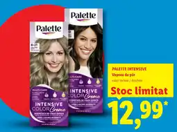 Lidl PALETTE INTENSIVE Vopsea de păr Ofertă