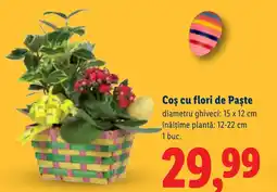 Lidl Coș cu flori de Paște Ofertă
