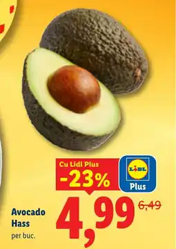 Lidl Avocado Hass Ofertă