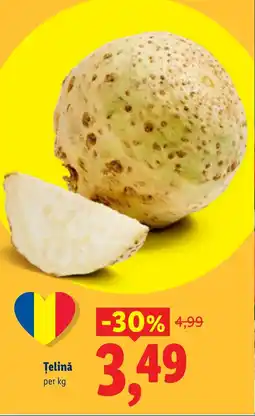 Lidl Ţelinǎ Ofertă