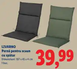 Lidl LIVARNO Pernă pentru scaun cu spătar Ofertă