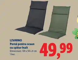 Lidl LIVARNO Pernă pentru scaun cu spătar înalt Ofertă